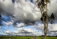 瓜帅:本赛季的处境是很好的教训,能取得欧冠资.