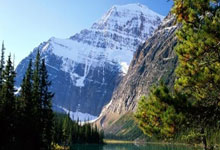 今日新闻集锦：体育赛事、球员动态及更多.